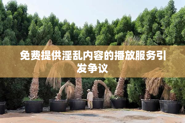 免费提供淫乱内容的播放服务引发争议