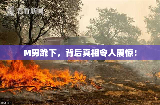 M男跪下，背后真相令人震惊！