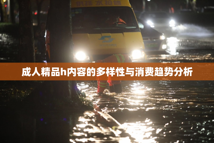 成人精品h内容的多样性与消费趋势分析