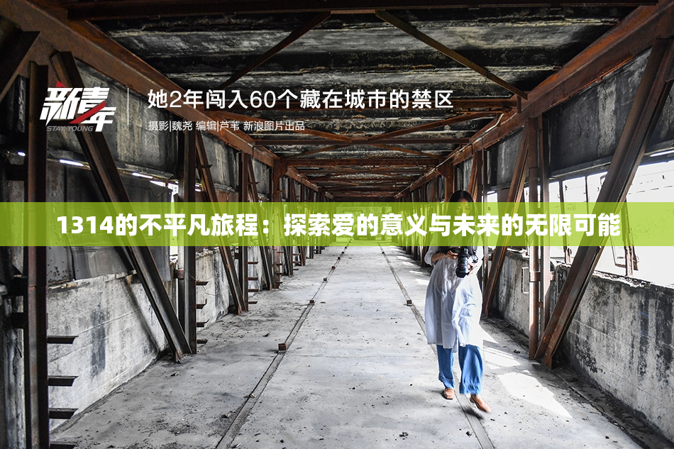 1314的不平凡旅程：探索爱的意义与未来的无限可能