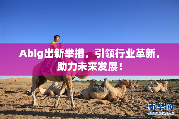 Abig出新举措，引领行业革新，助力未来发展！