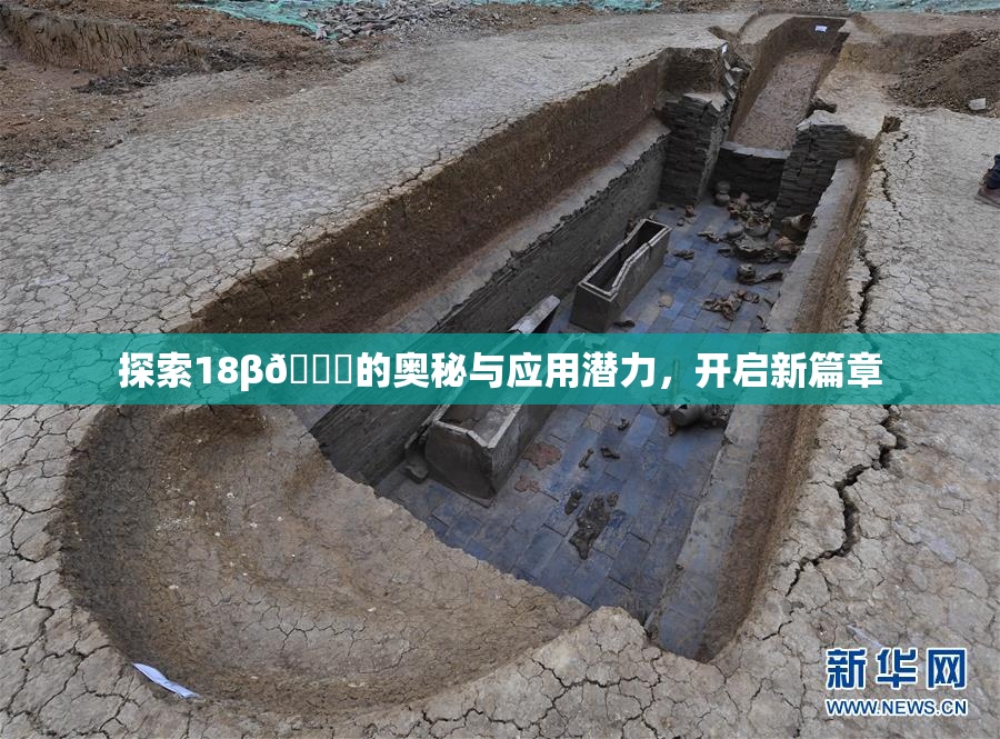 探索18β🍆的奥秘与应用潜力，开启新篇章