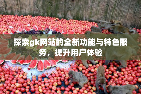 探索gk网站的全新功能与特色服务，提升用户体验