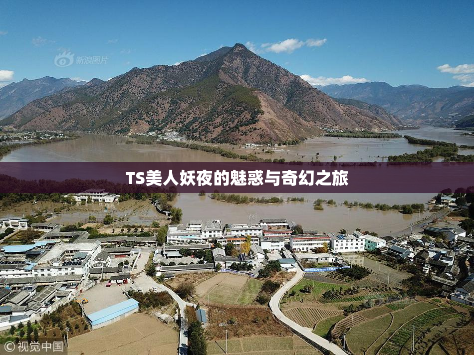 TS美人妖夜的魅惑与奇幻之旅