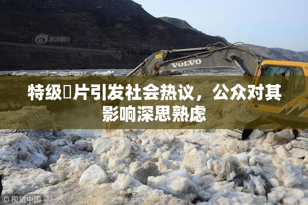 特级婬片引发社会热议，公众对其影响深思熟虑