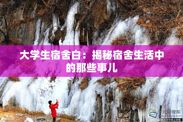 大学生宿舍白：揭秘宿舍生活中的那些事儿