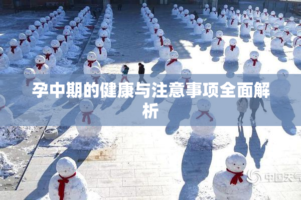 孕中期的健康与注意事项全面解析