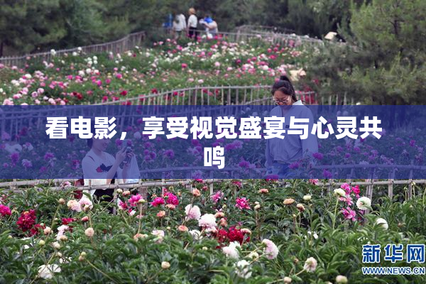看电影，享受视觉盛宴与心灵共鸣