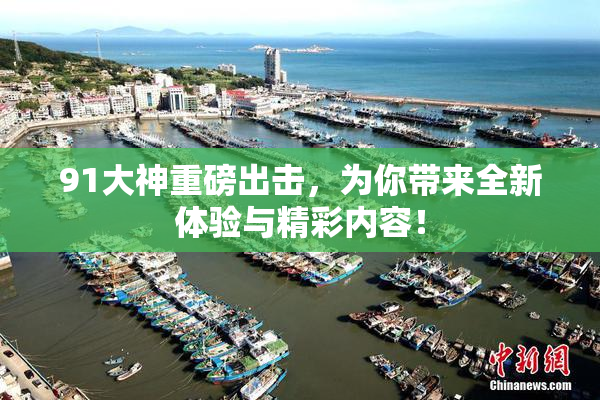 91大神重磅出击，为你带来全新体验与精彩内容！