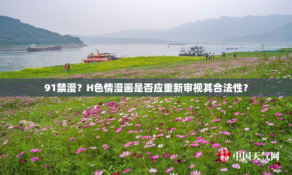 91禁漫？H色情漫画是否应重新审视其合法性？