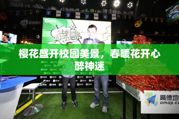 樱花盛开校园美景，春暖花开心醉神迷