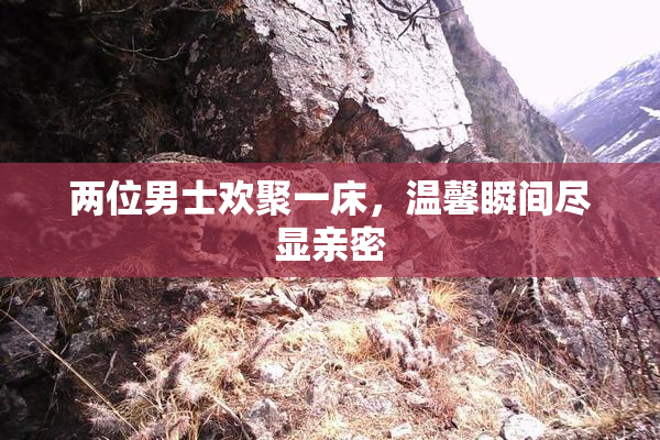 两位男士欢聚一床，温馨瞬间尽显亲密