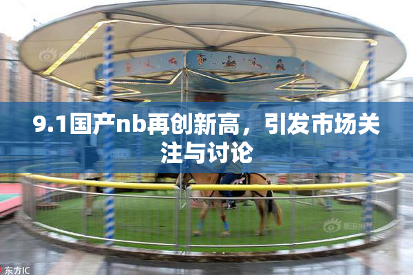 9.1国产nb再创新高，引发市场关注与讨论