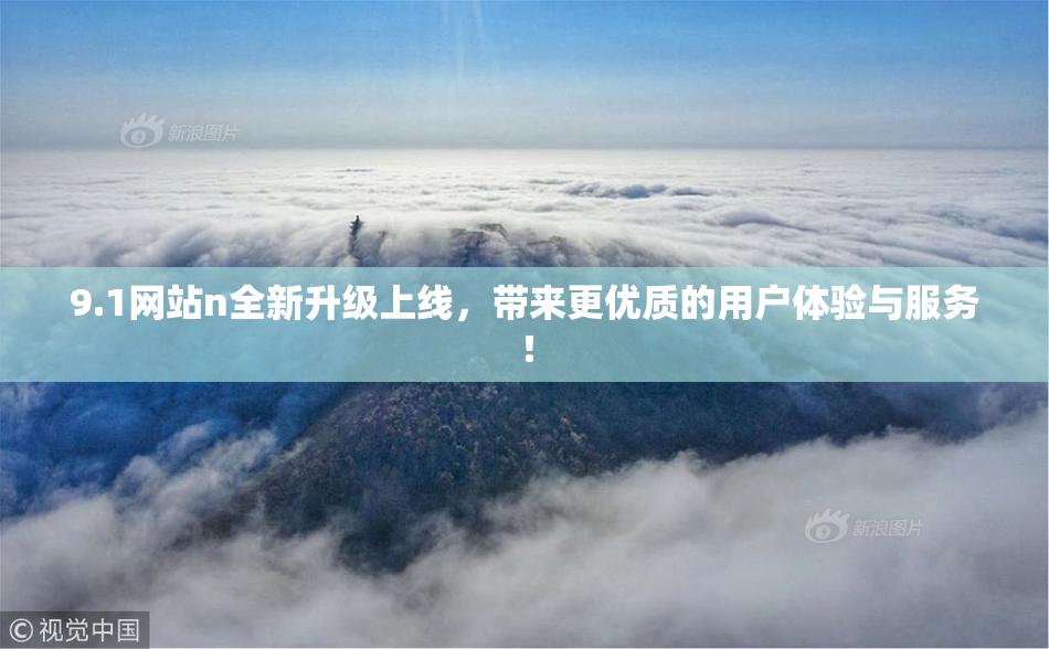 9.1网站n全新升级上线，带来更优质的用户体验与服务！