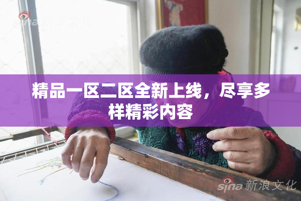 精品一区二区全新上线，尽享多样精彩内容