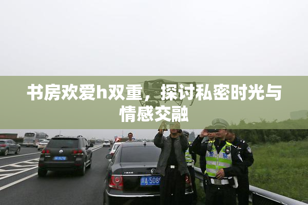 书房欢爱h双重，探讨私密时光与情感交融
