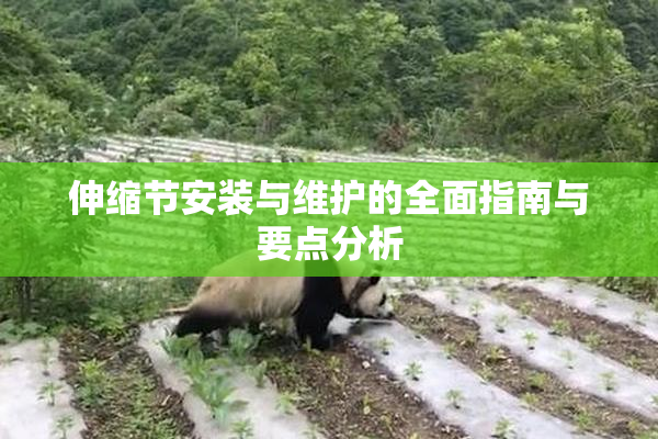 伸缩节安装与维护的全面指南与要点分析
