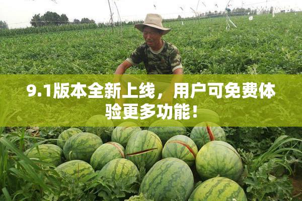 9.1版本全新上线，用户可免费体验更多功能！