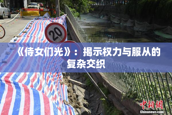 《侍女们光》：揭示权力与服从的复杂交织