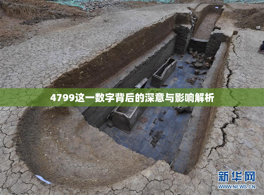 4799这一数字背后的深意与影响解析