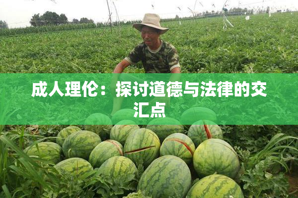 成人理伦：探讨道德与法律的交汇点