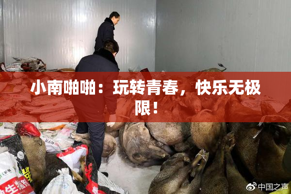 小南啪啪：玩转青春，快乐无极限！