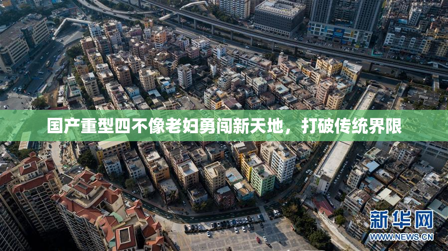 国产重型四不像老妇勇闯新天地，打破传统界限