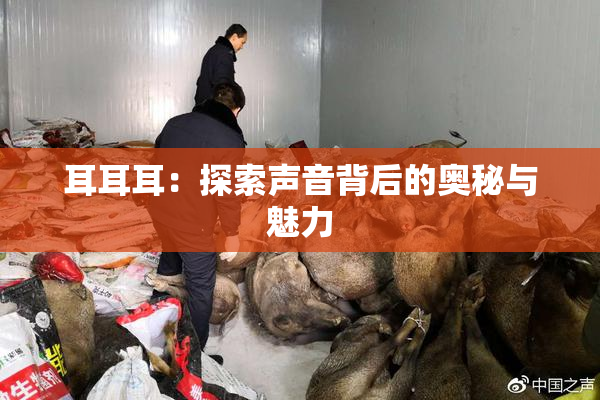 耳耳耳：探索声音背后的奥秘与魅力
