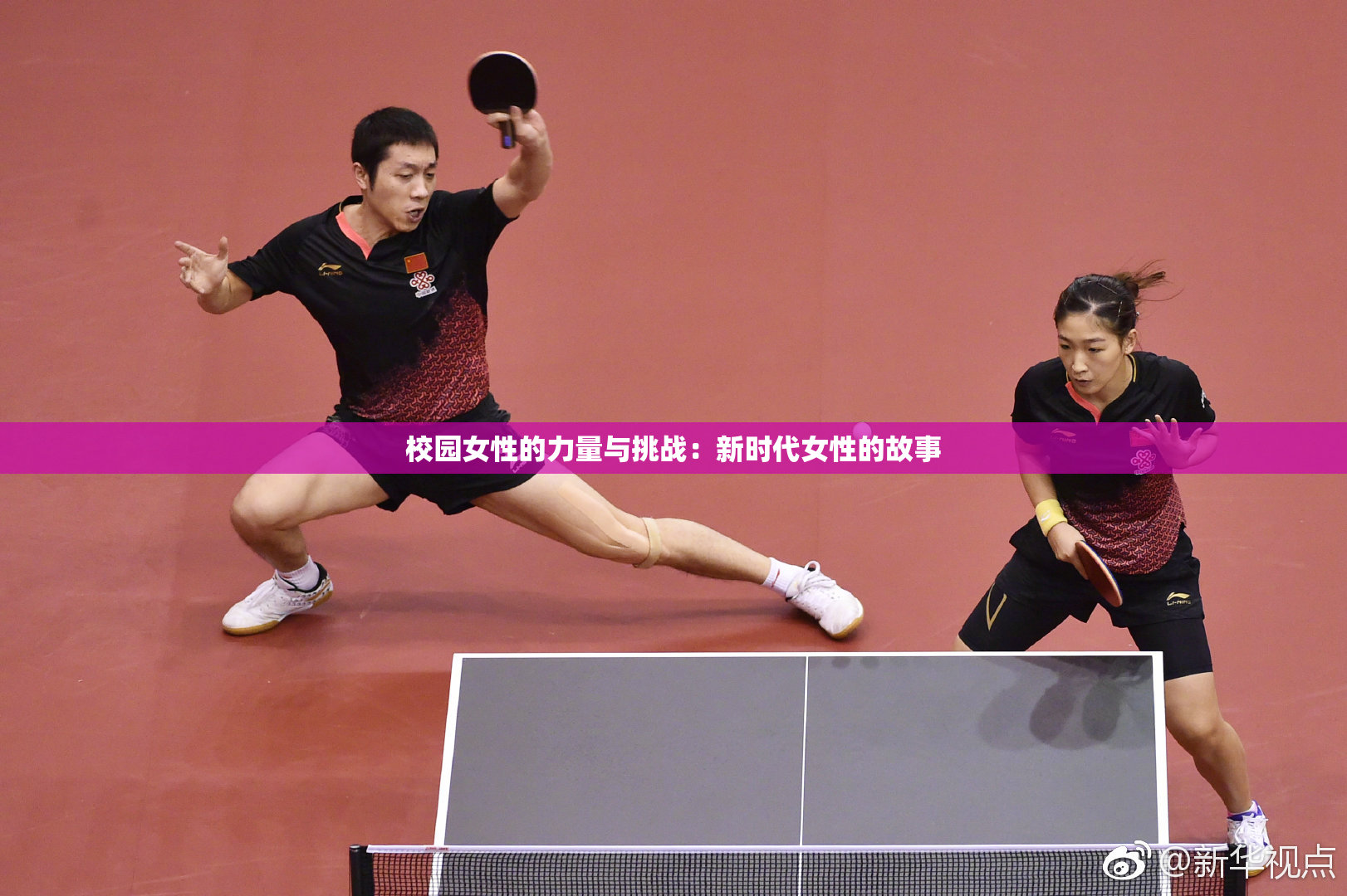 校园女性的力量与挑战：新时代女性的故事