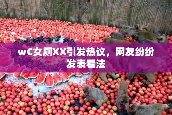 wC女厕XX引发热议，网友纷纷发表看法