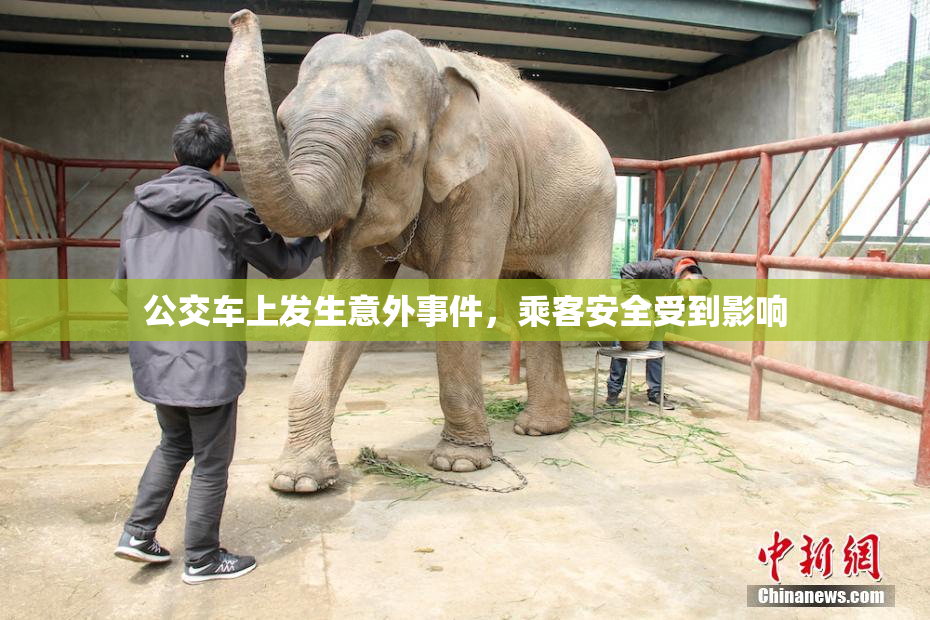 公交车上发生意外事件，乘客安全受到影响