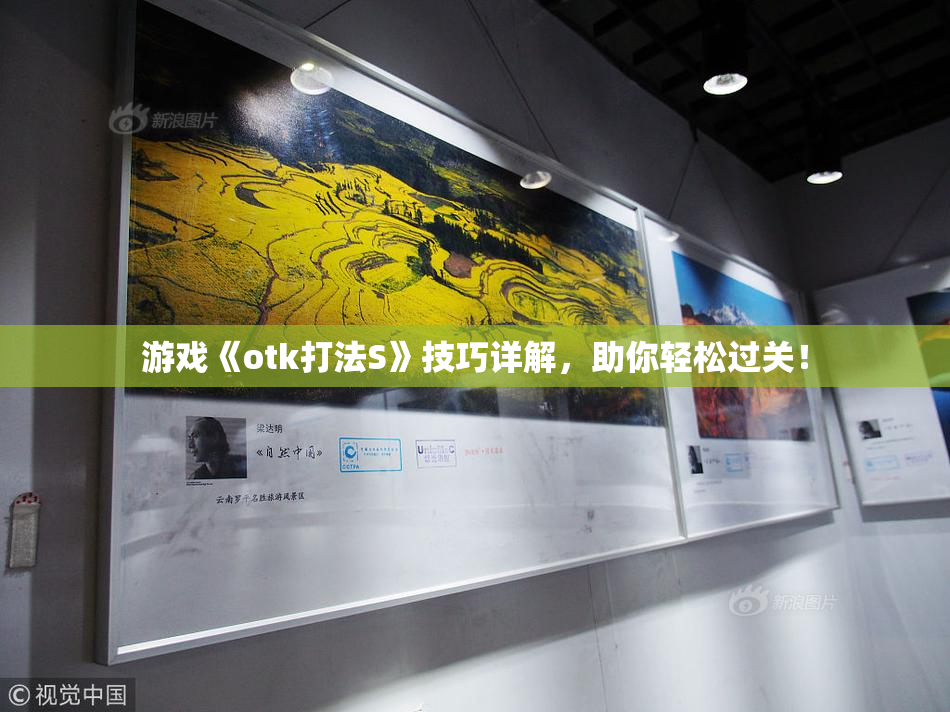 游戏《otk打法S》技巧详解，助你轻松过关！