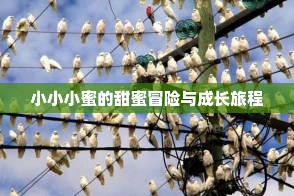 小小小蜜的甜蜜冒险与成长旅程