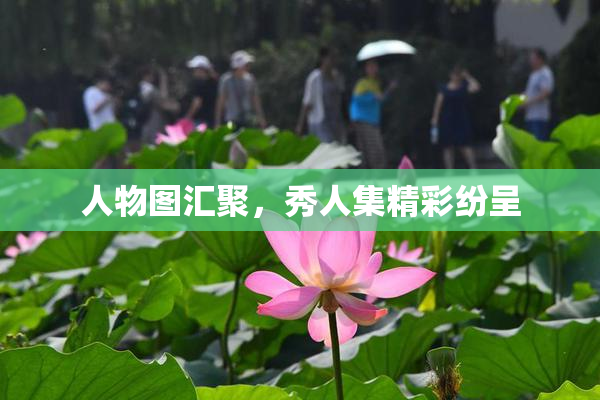 人物图汇聚，秀人集精彩纷呈
