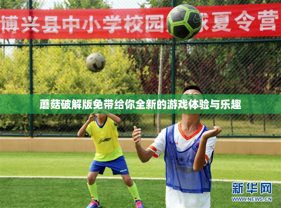蘑菇破解版免带给你全新的游戏体验与乐趣