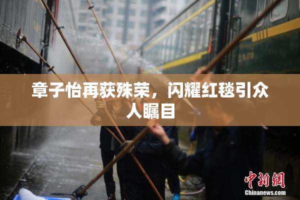 章子怡再获殊荣，闪耀红毯引众人瞩目