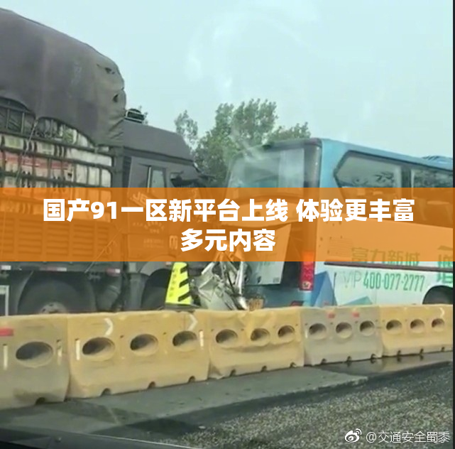 国产91一区新平台上线 体验更丰富多元内容