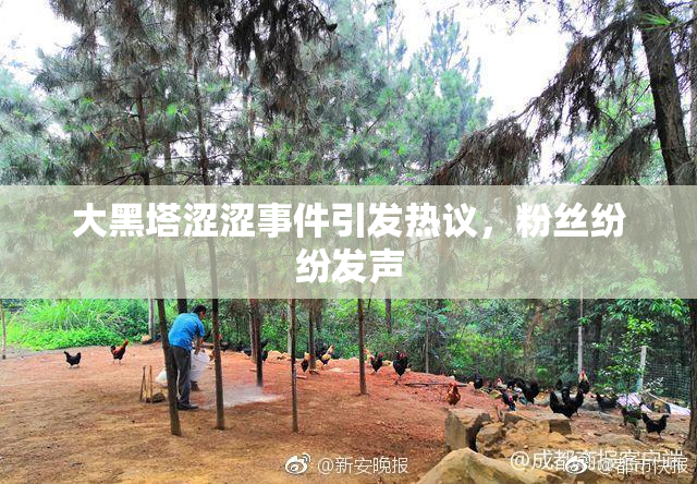 大黑塔涩涩事件引发热议，粉丝纷纷发声