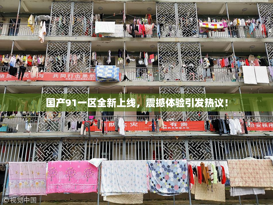 国产91一区全新上线，震撼体验引发热议！