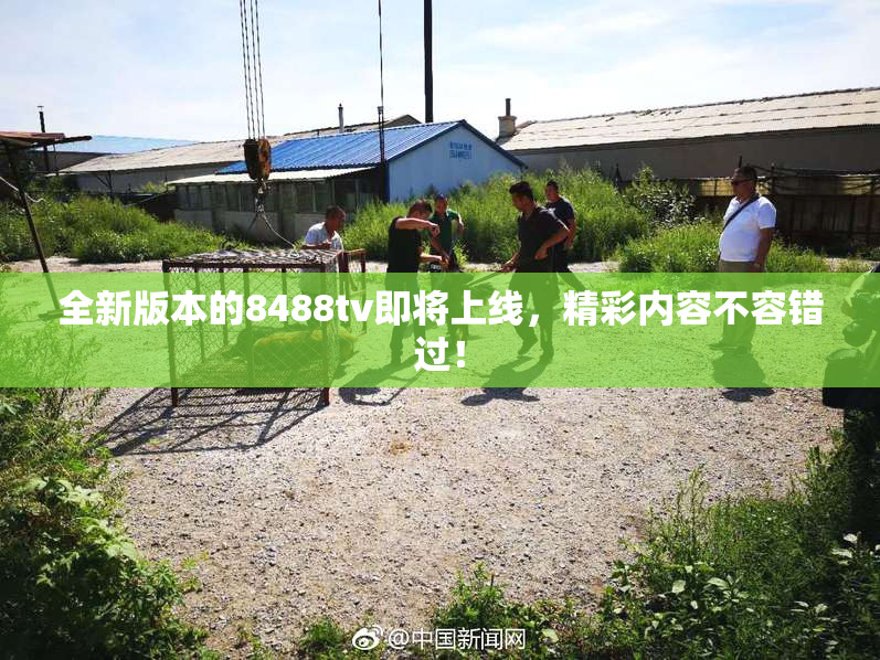 全新版本的8488tv即将上线，精彩内容不容错过！