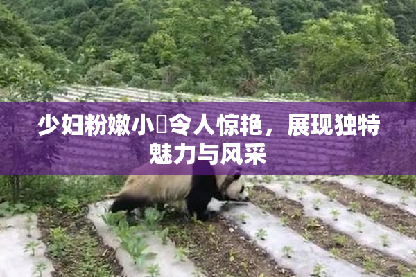 少妇粉嫩小泬令人惊艳，展现独特魅力与风采
