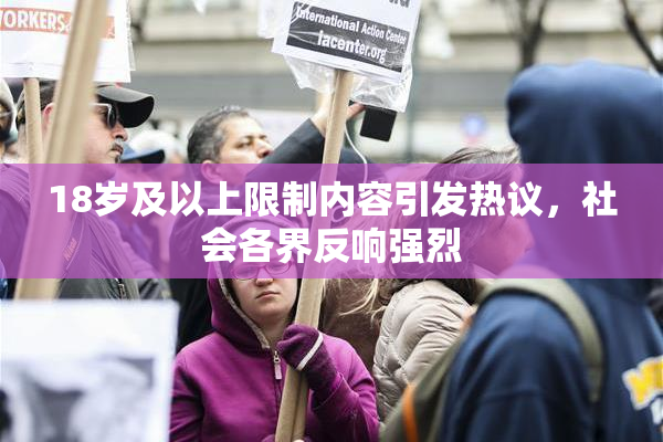 18岁及以上限制内容引发热议，社会各界反响强烈