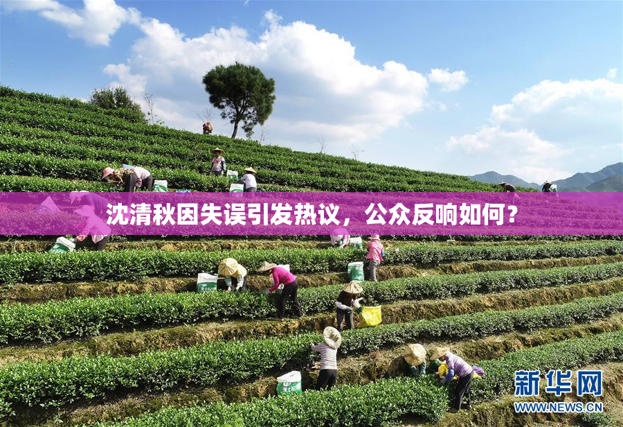 沈清秋因失误引发热议，公众反响如何？