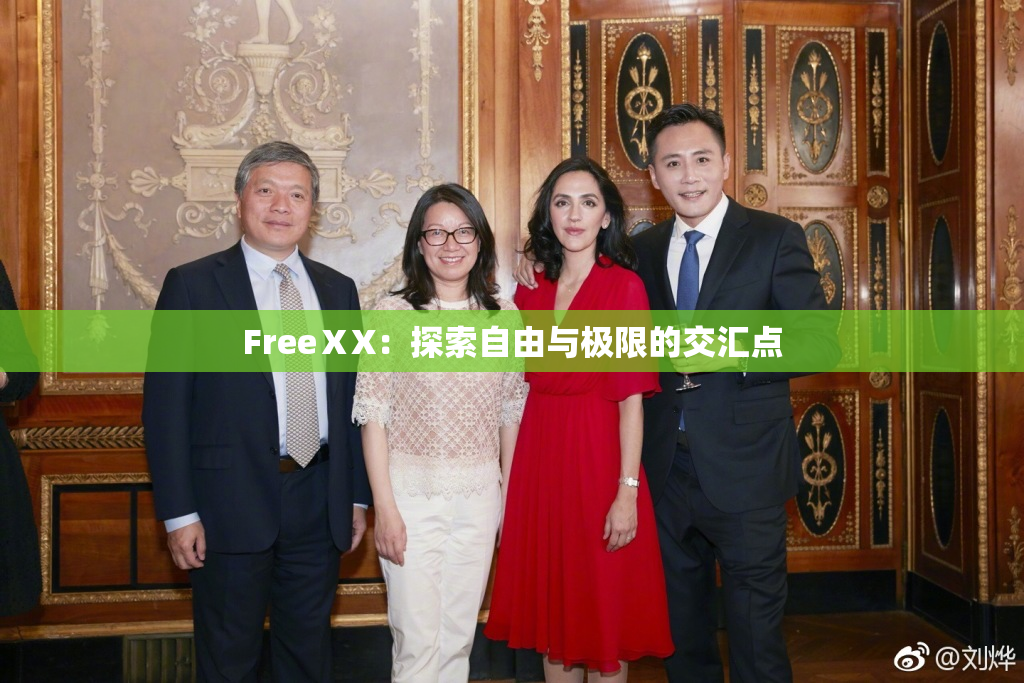 FreeⅩX：探索自由与极限的交汇点