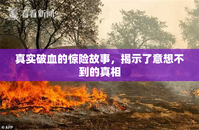 真实破血的惊险故事，揭示了意想不到的真相