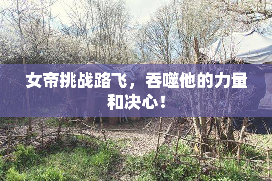女帝挑战路飞，吞噬他的力量和决心！