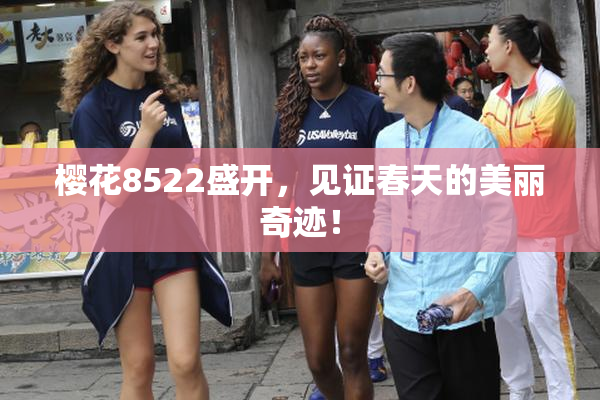 樱花8522盛开，见证春天的美丽奇迹！