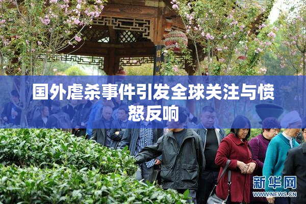 国外虐杀事件引发全球关注与愤怒反响