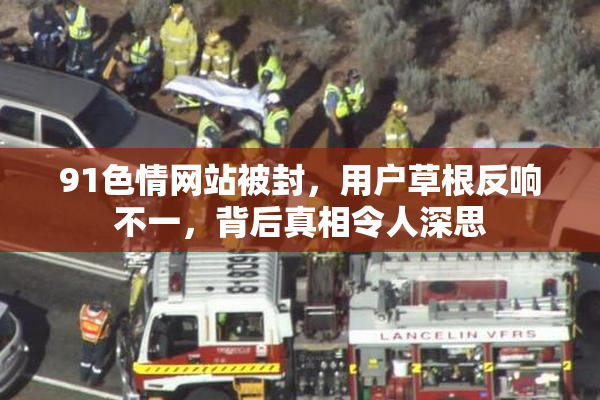 91色情网站被封，用户草根反响不一，背后真相令人深思