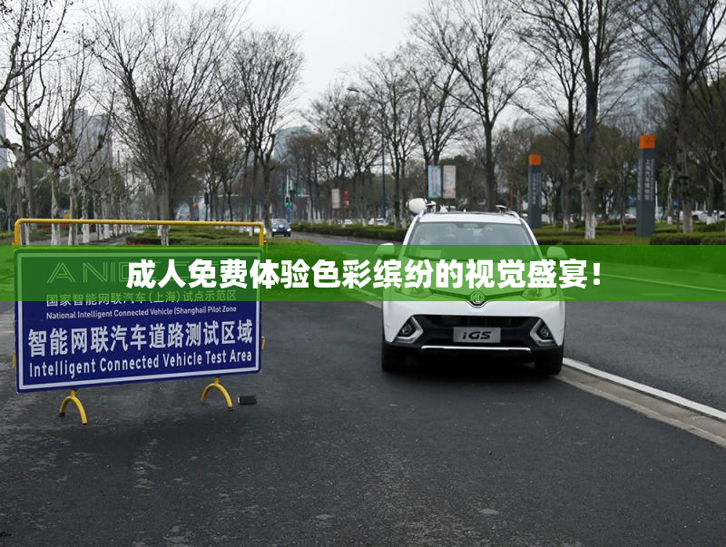 成人免费体验色彩缤纷的视觉盛宴！